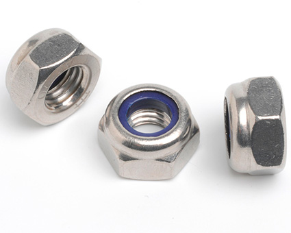 Stainless Steel Nylon Insert Nuts