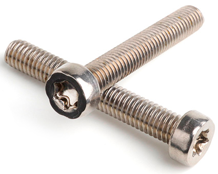 Stainless Steel TX Low Head Cap Screws