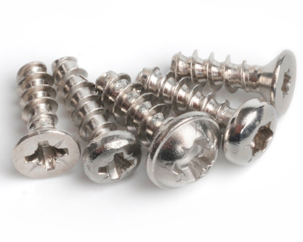 Stainless Steel Screws for Plastics