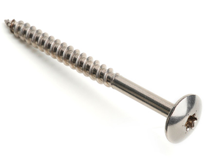 Stainless Steel TX Mushroom Head Woodscrews